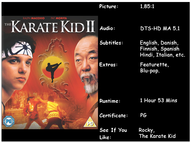 Download karate kid full movie in hindi