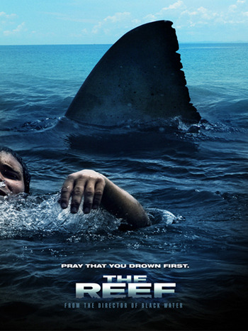 Reef Movie